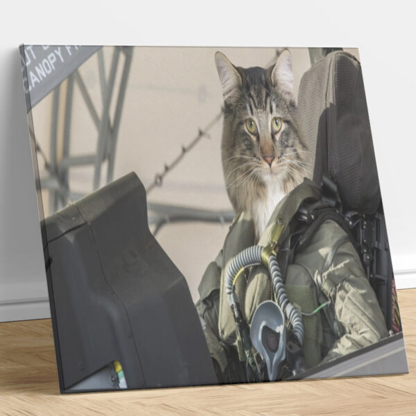 Air Force Cockpit Custom Cat Portrait