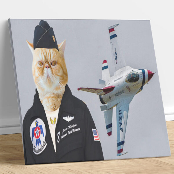 USAF Flying Pilot Custom Cat Portrait