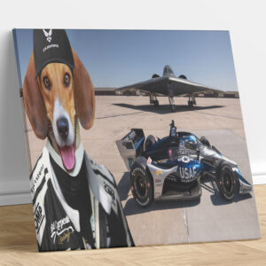 USAF Racecar Custom Dog Portrait
