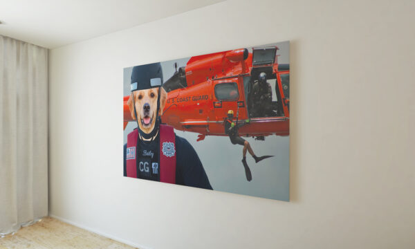 Coast Guard Helicopter Rescue Custom Pet Portrait