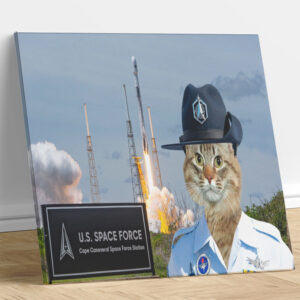 USSF Cape Canaveral Custom Cat Portrait