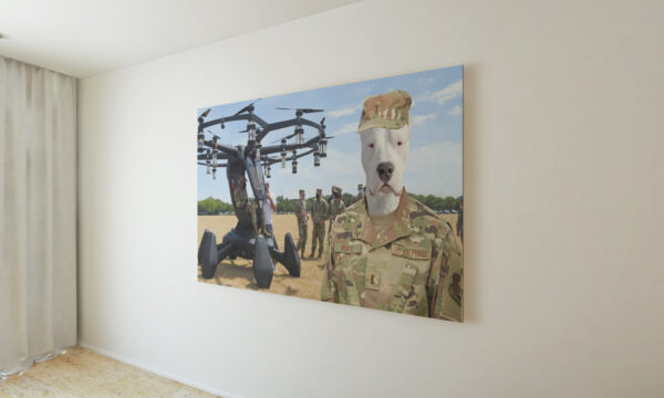 USAF Hexa Lift Custom Pet Portrait Poster