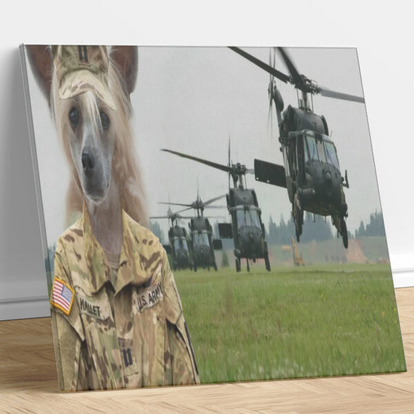 US Army Apache Parade Custom Dog Portrait