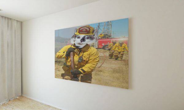 Fireman Southbay Custom Pet Portrait Poster